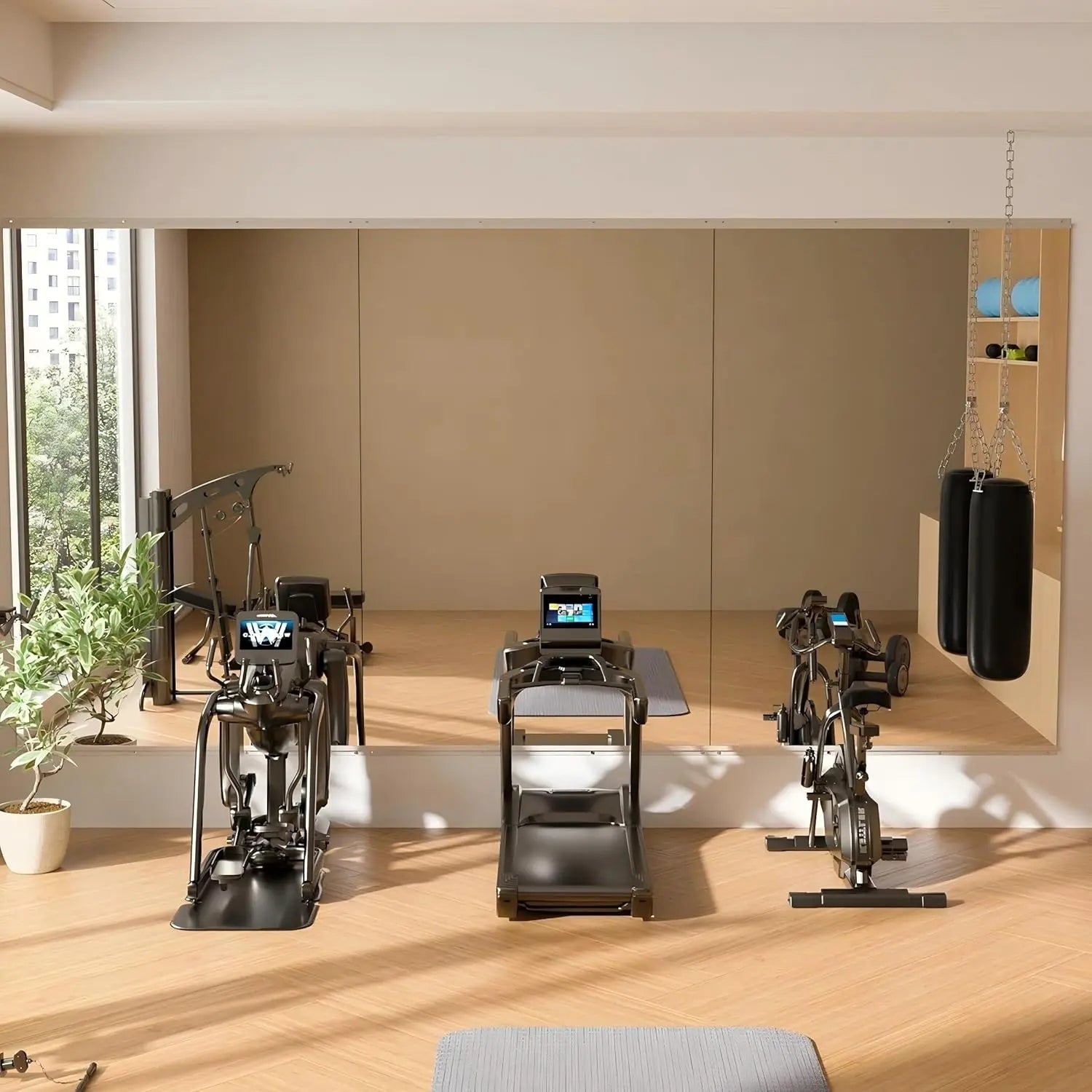 HAUSVITA  2 PCS Frameless Home Gym Mirror 