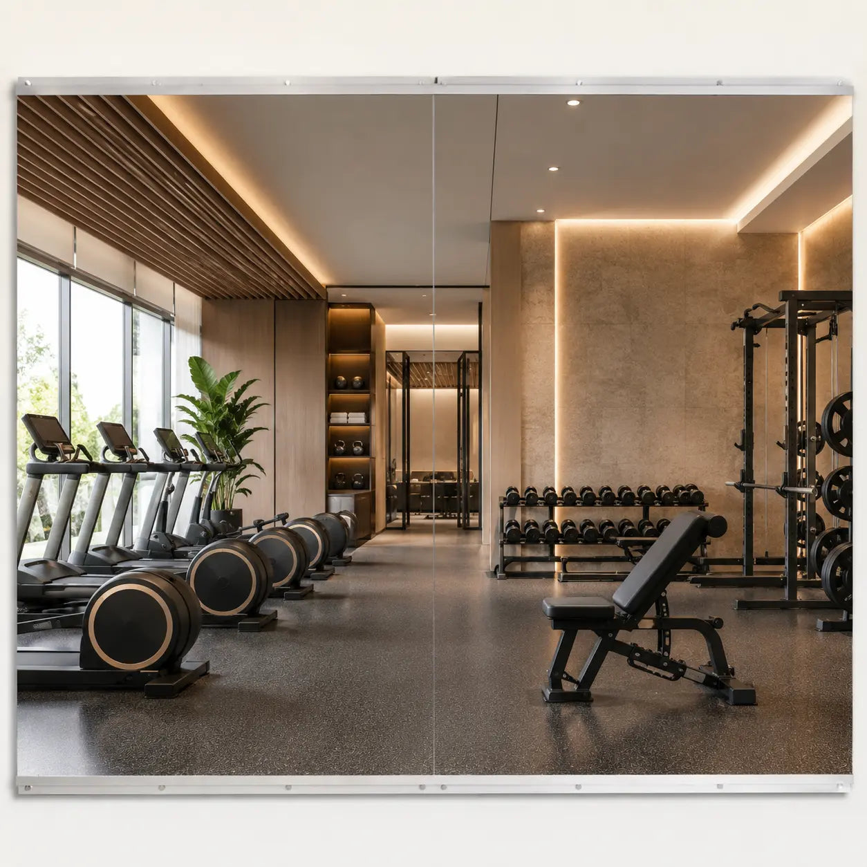 HAUSVITA  2 PCS Frameless Home Gym Mirror 