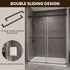 HAUSVITA  Frameless Double Sliding Shower Door 