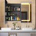 HAUSVITA  Lighted Bathroom Medicine Cabinet with Mirror 