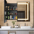 HAUSVITA  Lighted Bathroom Medicine Cabinet with Mirror 
