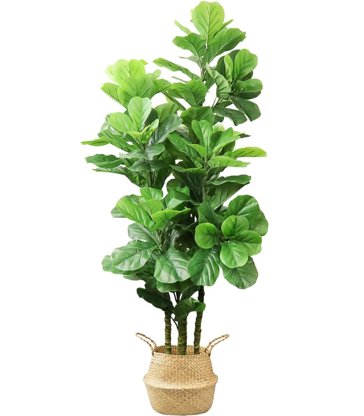 Hausvita 6ft Artificial Fiddle Leaf Fig Tree with Woven Seagrass Plant Basket 