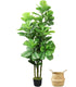 Hausvita 6ft Artificial Fiddle Leaf Fig Tree with Woven Seagrass Plant Basket 