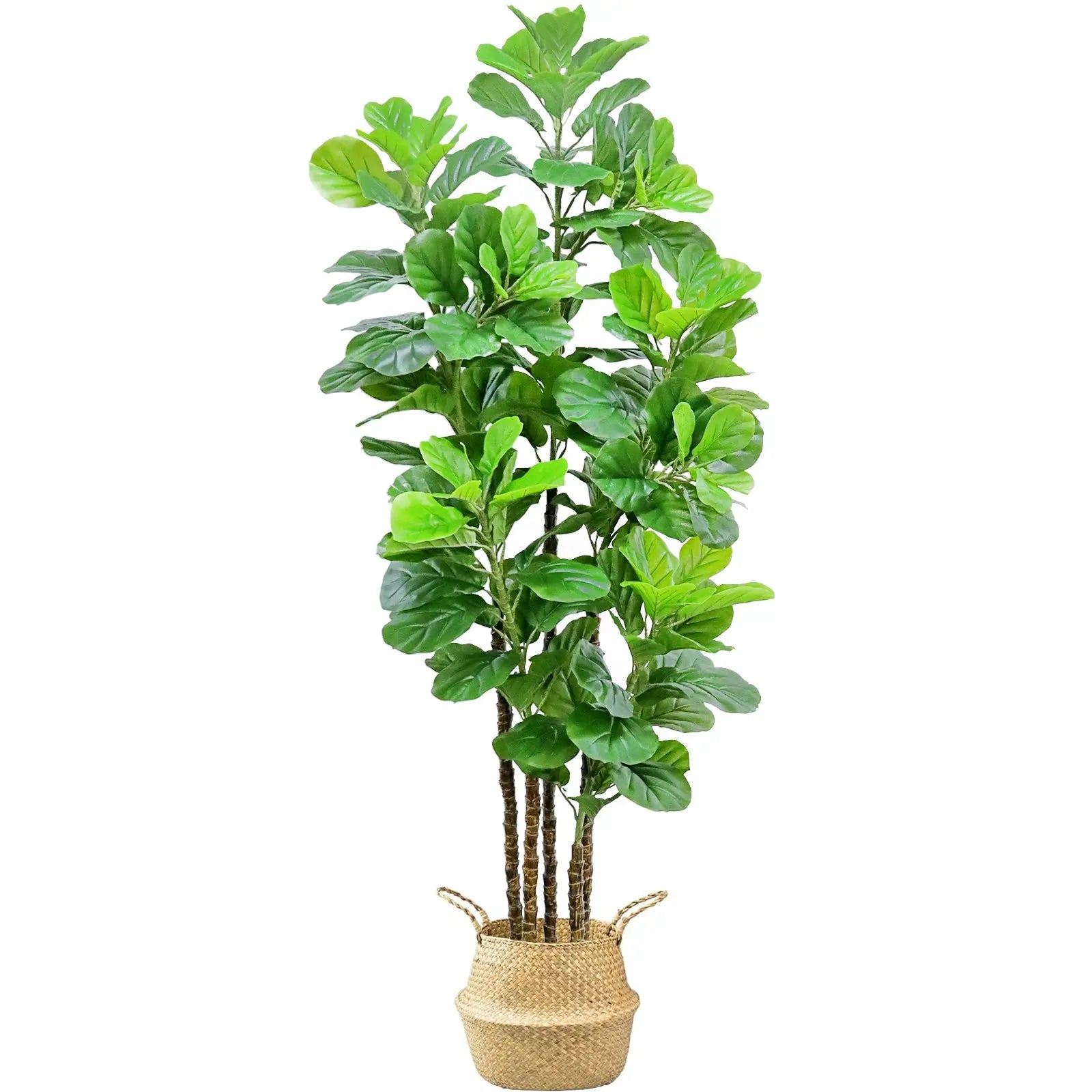 Hausvita 6ft Artificial Fiddle Leaf Fig Tree with Woven Seagrass Plant Basket 