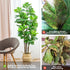 Hausvita 6ft Artificial Fiddle Leaf Fig Tree with Woven Seagrass Plant Basket 